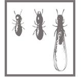 Connor's Termite & Pest Control image 2