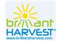 Brilliant Harvest logo