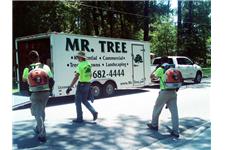 Mr Tree and Lawn Service LLC image 7