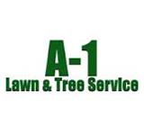 A-1 Lawn & Tree Service image 1
