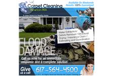 Carpet Cleaning Newton MA image 3