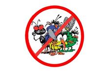 Avail Pest Control image 1