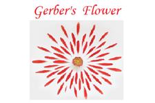 Gerber's Flower image 1