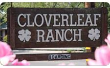 Cloverleaf Ranch  image 1