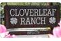 Cloverleaf Ranch  logo