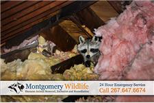 Montgomery Wildlife Removal              image 2