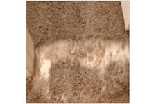 Glendale Carpet Repair & Cleaning image 2