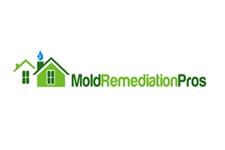 Mold Remediation Pros image 1
