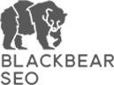 Black Bear SEO Rochester image 1