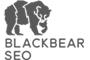 Black Bear SEO Rochester logo
