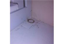 Bob's Killen Pest & Termite Control image 2
