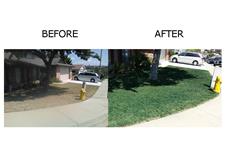 Smart Lawn Painting image 1