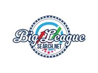 Big League Search, LLC image 1
