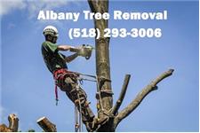 Albany Tree Removal image 6