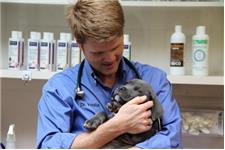 Verdin Veterinary Services P.A. image 2