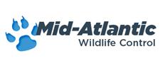 Mid-Atlantic Wildlife Control image 1