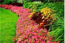 Mansfield Landscaping & Lawn care image 1