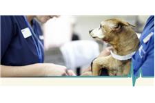 VCA All-Care Animal Referral Center image 7