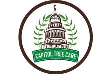 Capitol Tree Care image 1