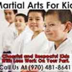 Total Ryu Martial Arts image 5