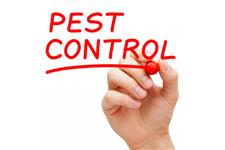 Eco Advantage Pest Control image 4