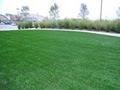 Texas Turf and Pavers, Artificial Grass Dallas image 1