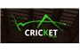 Cricket Pavers logo