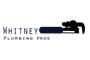 Whitney Plumbing Pros logo