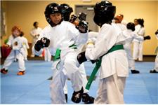 Taekwondo Plus of Lawrenceville GA image 2