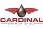 Cardinal Energy Group, Inc logo