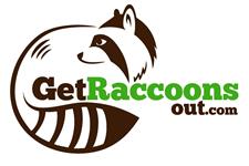 Get Raccoons Out image 1