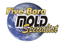 Five Boro Mold Specialist image 1