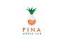 Pina Media Lab logo