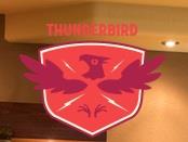 Thunderbird Custom Drywall image 1