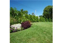 Peters Professional Landscaping image 2