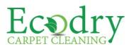 Ecodry Carpet Cleaning image 1
