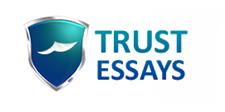 Trust Essays - Delivering Excellence image 1