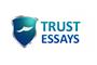 Trust Essays - Delivering Excellence logo