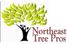 Northeast Tree Pros image 1