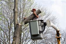 Erie Tree Trimmers image 5