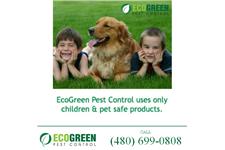EcoGreen Pest Control image 3