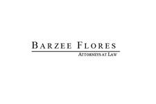 Barzee Flores Attorneys At Law image 1