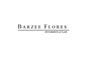 Barzee Flores Attorneys At Law logo