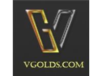 Vgolds - Virtual Game Currency Store image 1
