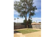 Valley Tree Services image 1