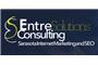 EntreSolutions Consulting logo