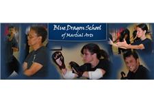 Blue Dragon School of Martial Arts image 2