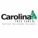 Carolina Tree Care image 1