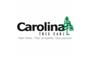 Carolina Tree Care logo