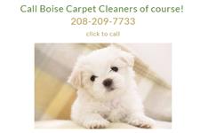 Boise's Carpet Cleaners image 1